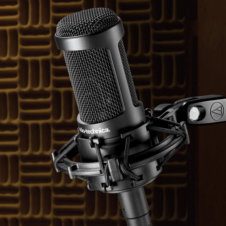 Actual product image Audio-Technica At2035