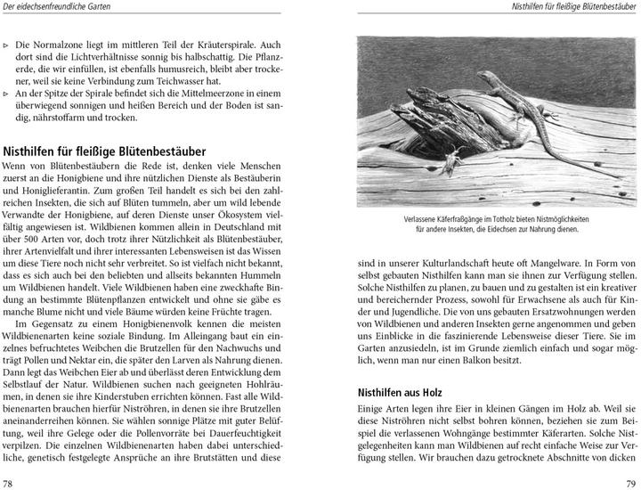 Produktbild Ein Garten für Eidechsen (Deutsch, Wolf R. Gnzel, 2014)