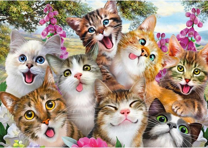 Immagine prodotto Schmidt Spiele Gatti Selfie (500 pezzi)