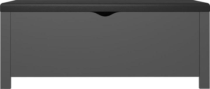 Image du produit vidaXL Aufbewahrungsbox (105 cm)