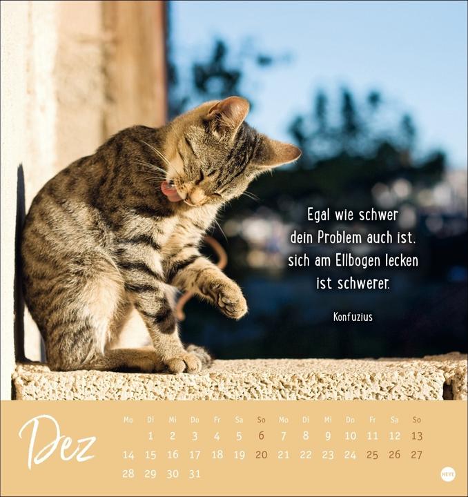 Produktbild Never give up! Postkartenkalender 2026 - Durchhalten. Denn alles wird gut (Deutsch)
