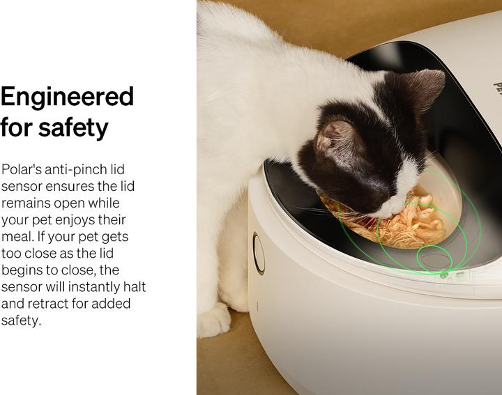 Produktbild Petlibro Polar Smart Wet Food Feeder