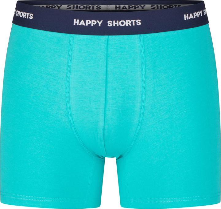 Actual product image Happy shorts Retro Pants Jersey (L, pack of 3)