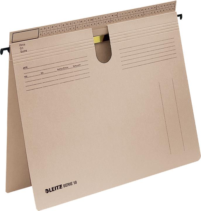 Immagine prodotto Leitz Fascicolo appeso serie 18 (A4, 1 x)