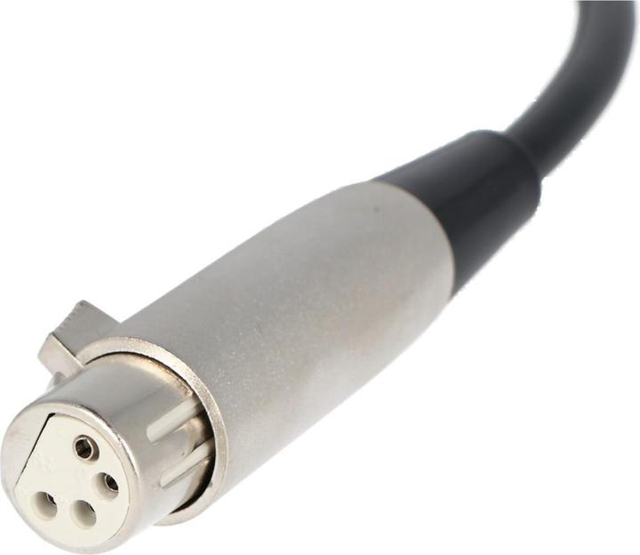 Actual product image E-Bike-Vision 12V Car Charger SET for Bosch Active, Performance 36V (E-bike charger)