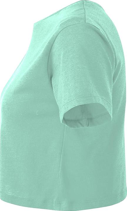 Actual product image Tri Dri Womens/Ladies Crop Top (XS)