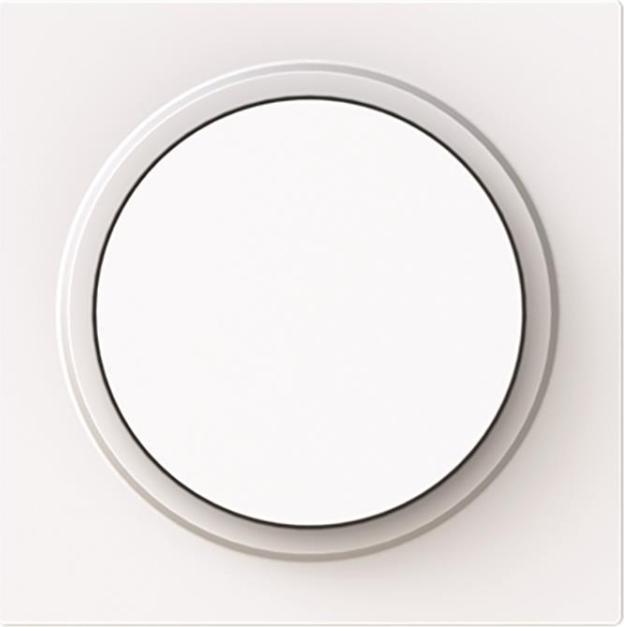Actual product image Busch-Jaeger Central disc