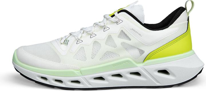 Actual product image Ecco Biom 720 (44)