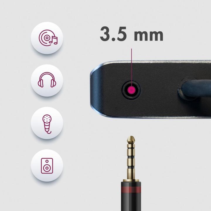 Image du produit Icy Box IB-DK4070-CPD (USB-C, 1 portion)