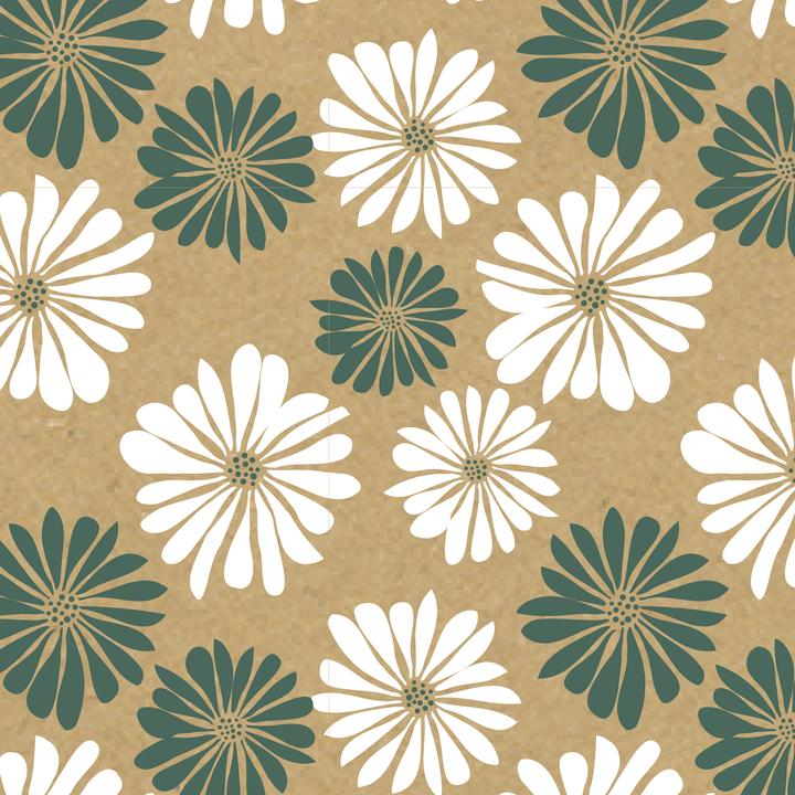 Image du produit Clairefontaine Kraft brut 70g, rl 50x0,70m Pâquerettes - (Papier cadeau, 24 x)
