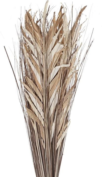 Immagine prodotto EGLO Hagonoy (100 cm)