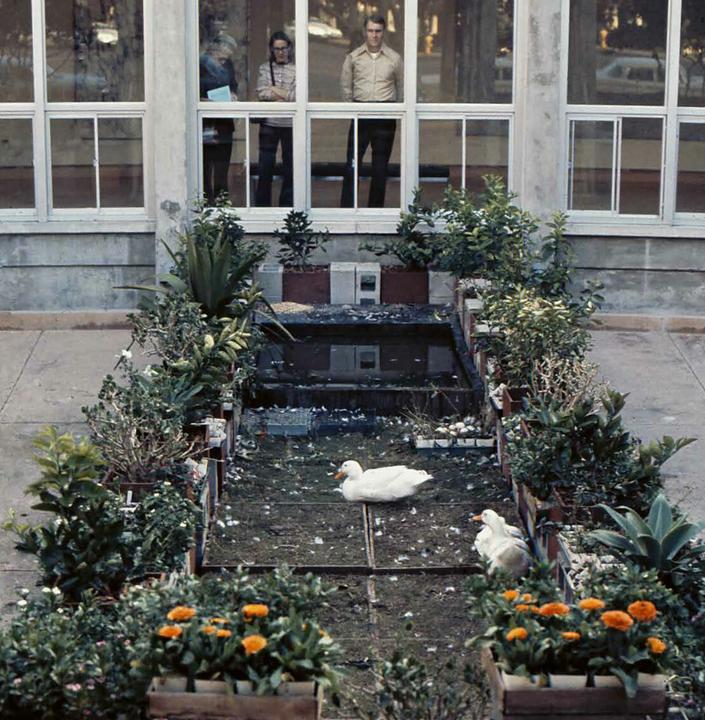 Actual product image Manolescu:Helen and Newton Harrison (English, Tatiana Sizonenko, Edward Shanken, 2024)