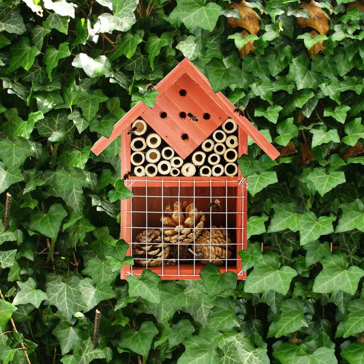 Immagine prodotto Relaxdays Hotel per insetti (Api, Coccinelle, Vespe scavatrice)