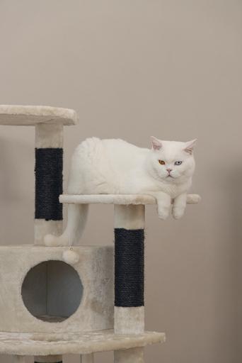 Actual product image Beeztees Bz cat tree Dominjo (123 cm, Black, Beige)
