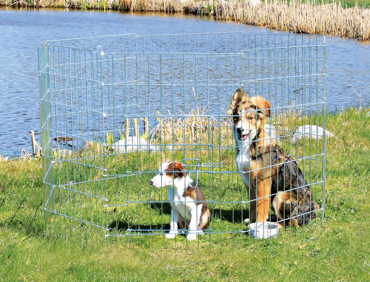 Immagine prodotto Trixie Pista libera per cani di piccola taglia (Gabbia per cani)