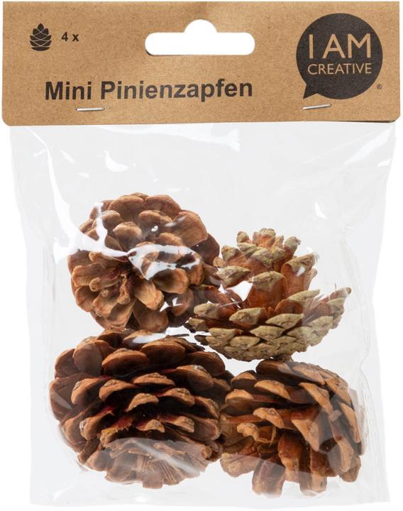 Actual product image I Am Creative Pine cones, mini pine cones, decorative cones