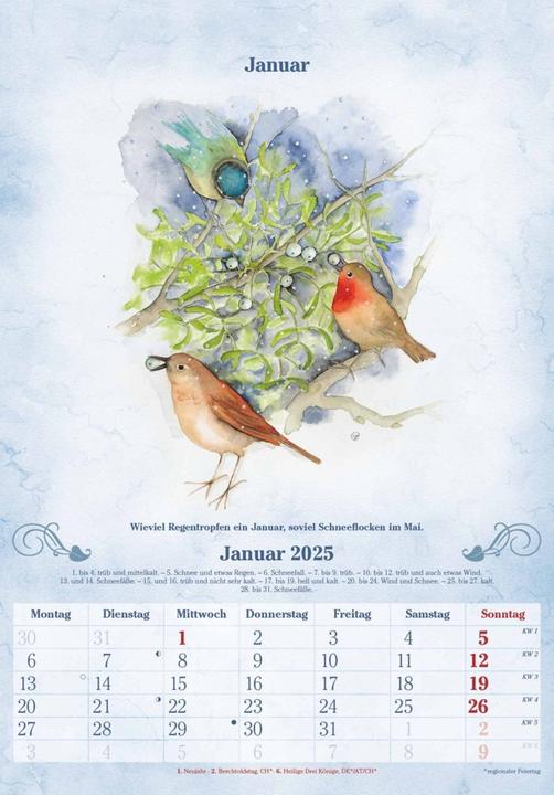 Actual product image Alpha Edition 100 Years Calendar 2025 Wall Calendar, 23,7x34cm, Picture Calendar with (Hardcover, German)