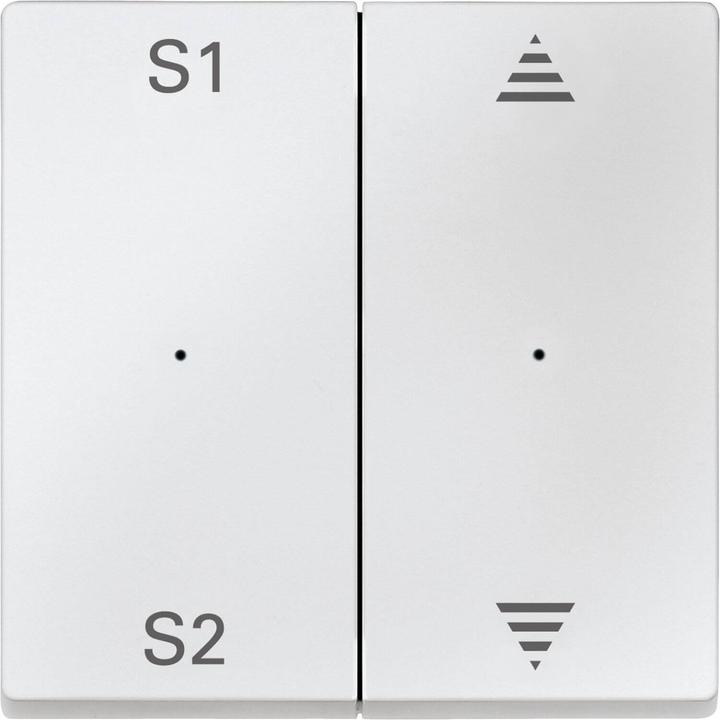 Actual product image Merten Rockers for push-button module 2gang (scene1/2, MEG5227-0419