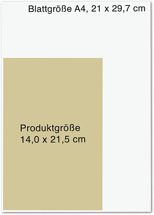 Actual product image To Cage a Wild Bird (German, Bettina Ain, Brooke Fast, 2025)