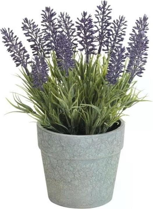 Actual product image Dekomat Lavender (22 cm)