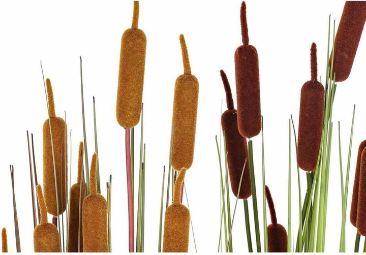 Immagine prodotto DKD Home Decor Decorative Plant Polyethylene Green Burgundy PVC 40 x 40 x 120 cm Mustard (2 Units) (120 cm)