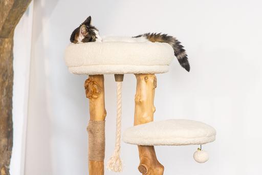 Actual product image Designed by Lotte Vanja (87.50 cm, Cream)