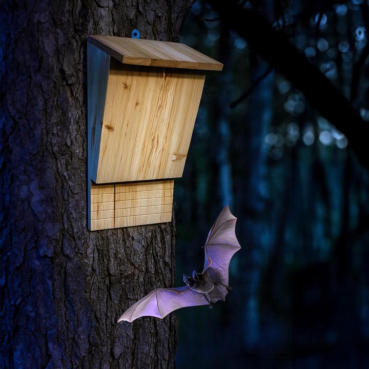 Produktbild Relaxdays 4x Fledermauskasten