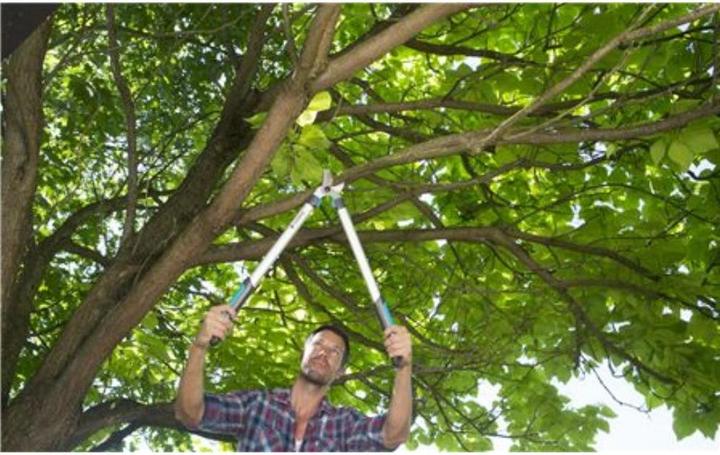 Produktbild Gardena EasyCut 680A