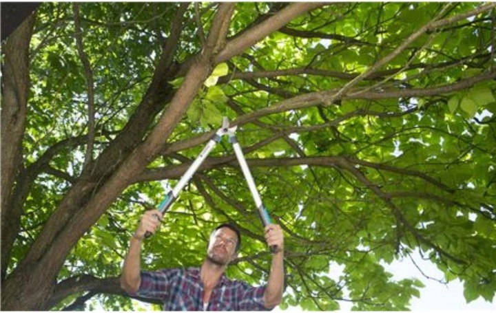 Actual product image Gardena EasyCut 680A