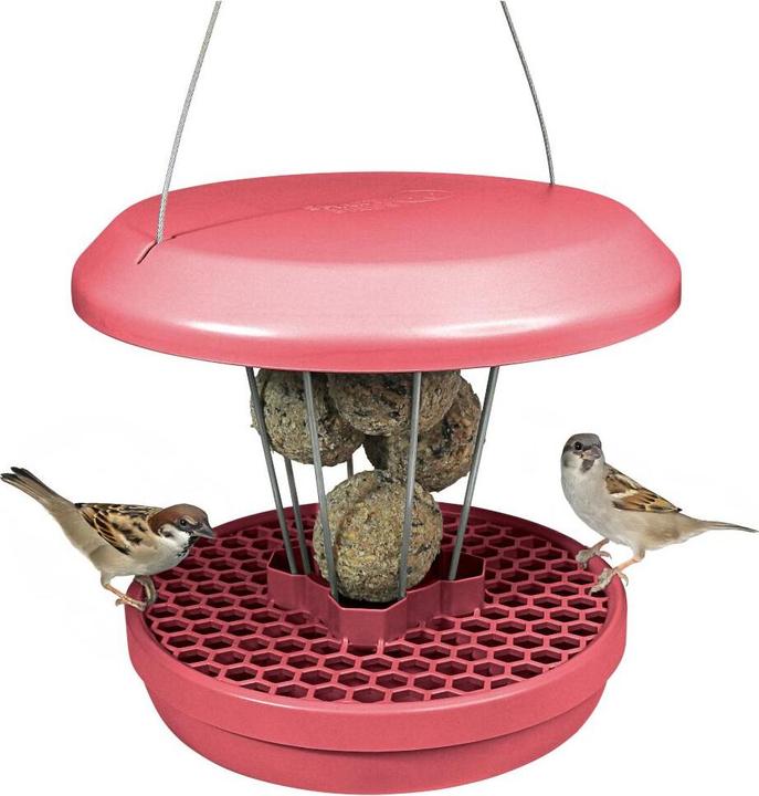 Productafbeelding Swissinno Vogel-Futtersilo Lucerne dusty rose SMART BIRDS