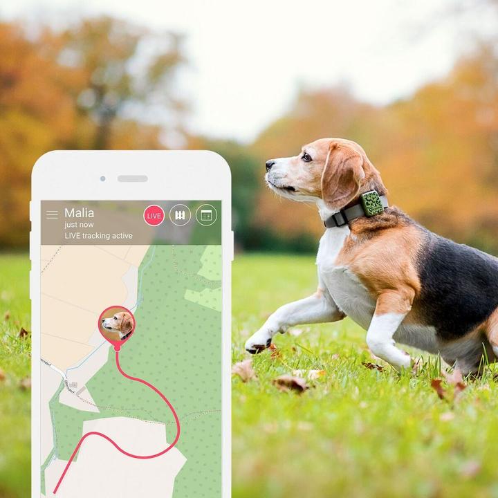 Image du produit Tractive Traqueur GPS pour animaux de compagnie (Chien)