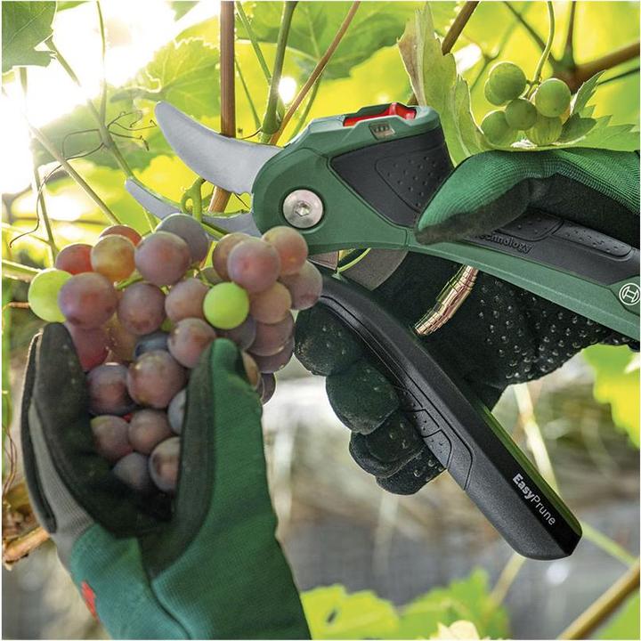 Productafbeelding Bosch Home & Garden Accu-tuinschaar EasyPrune