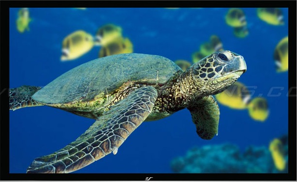 Actual product image Elite Screens ezFrame (150", 16:9)