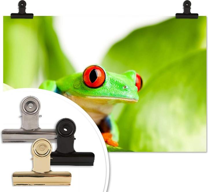 Immagine prodotto Trenddeko Petardo (120 x 80 cm)