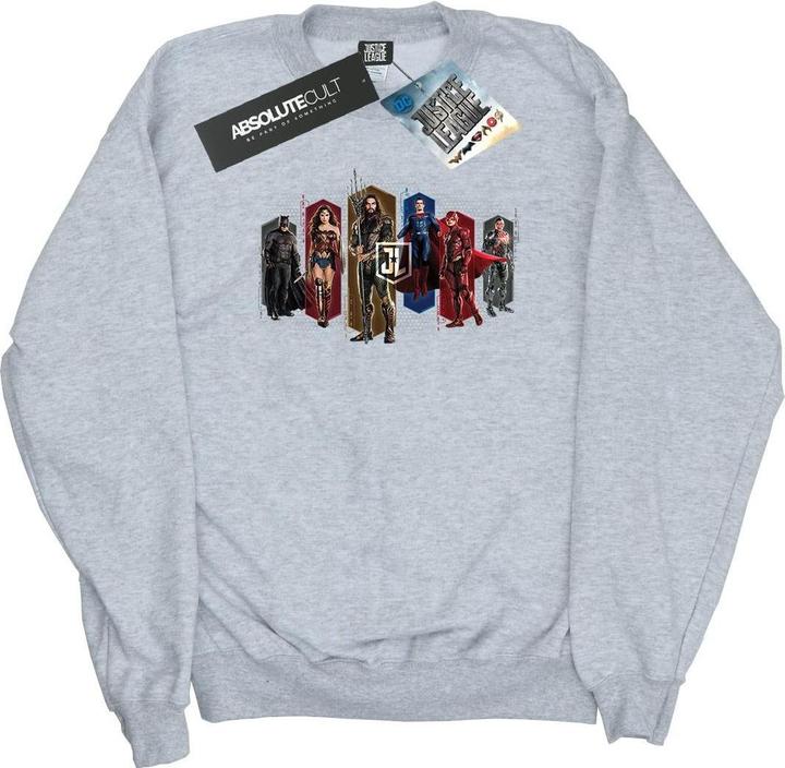 Produktbild Justice League Movie Team Hexagons Sweatshirt (L)