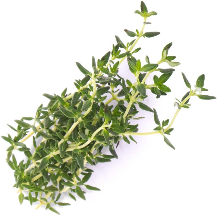 Produktbild Véritable Lingot Thyme - Organic (Kräutersamen)