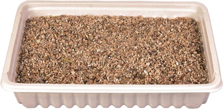 Immagine prodotto Trixie Erba di gatto (Senior, Adulto, 1 pz., 100 g)