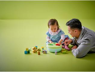 Actual product image LEGO Formsortierer: Welpenhaus