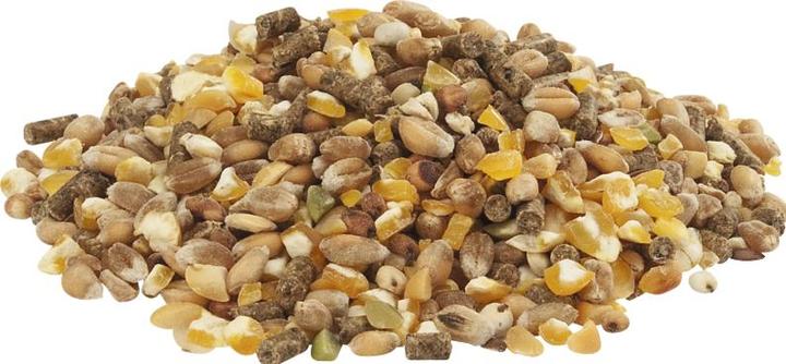 Actual product image Versele Laga Laying hen pellets (1 x, 20 kg)