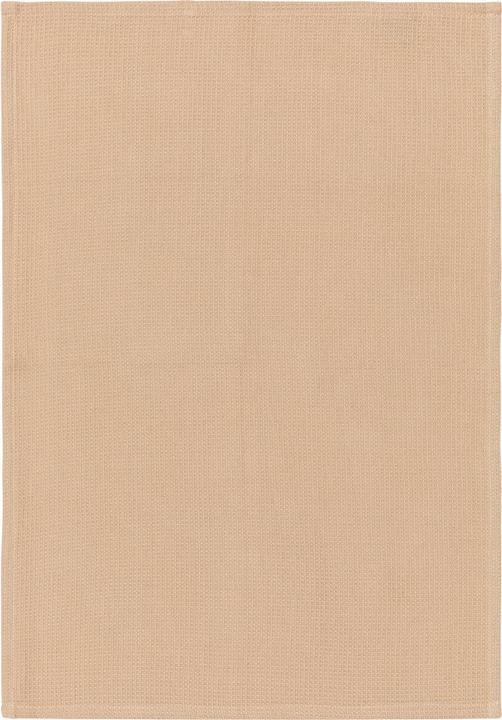 Image du produit edy&liv Jacky (70 x 50 cm)