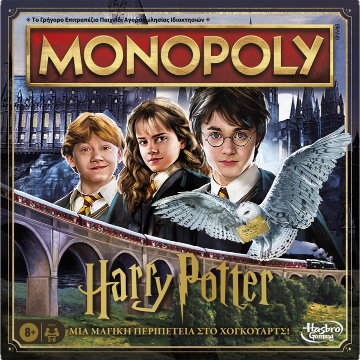Hasbro Gaming Harry Potter