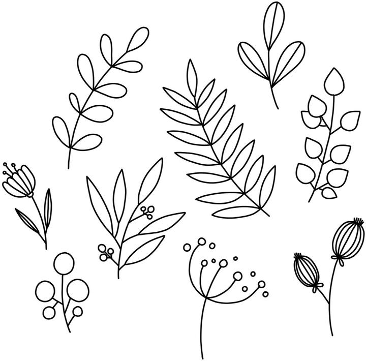 Image du produit Handlettering - Die ultimative Sammlung (Allemand, éditeur insolent, 2024)