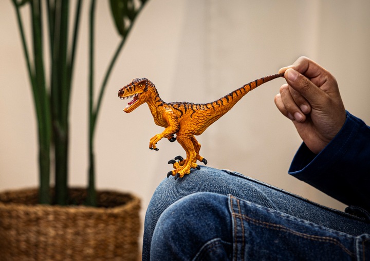 Actual product image Schleich Velociraptor