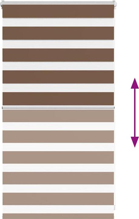 Produktbild vidaXL Zebra-Jalousie (85 x 100 cm)