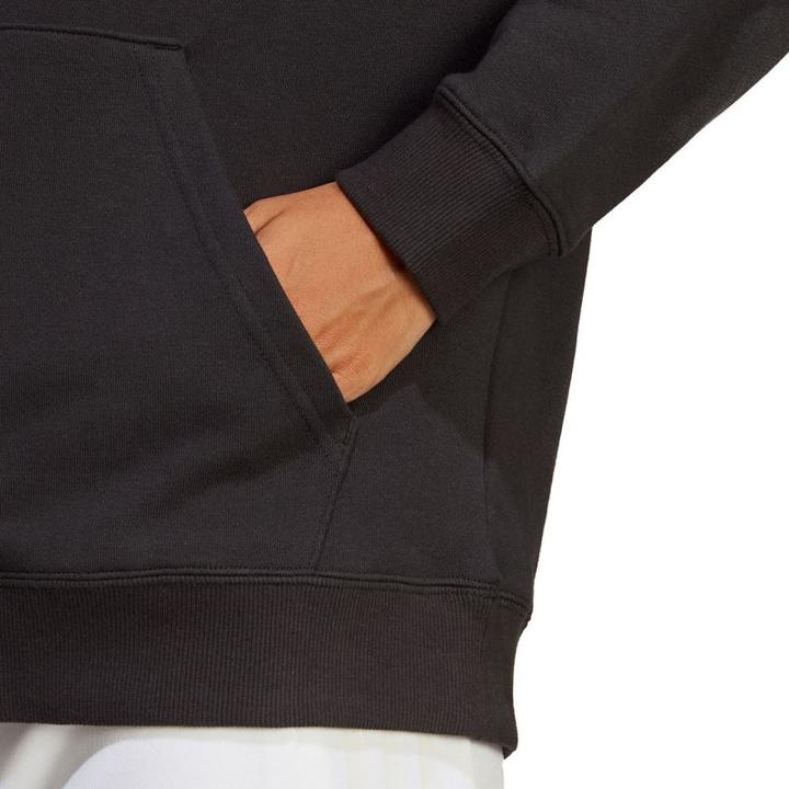 Image du produit Adidas Essentials Big Logo (L)