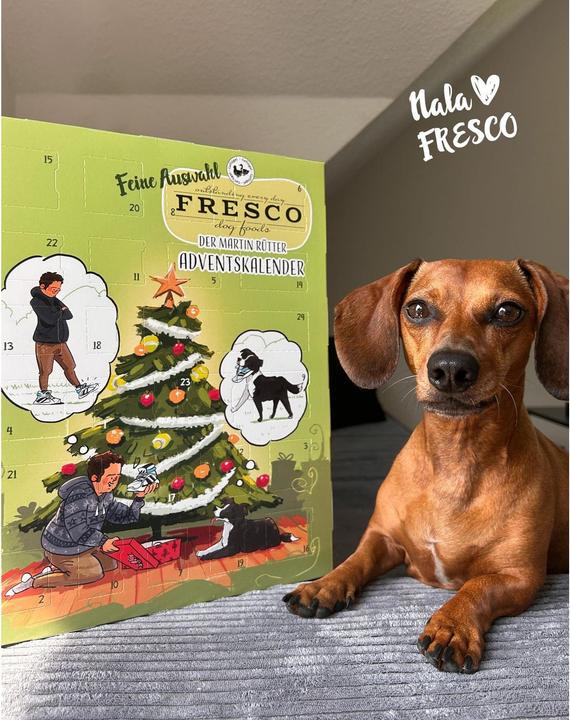 Actual product image Fresco Martin Rütter Advent calendar (1 pcs., 180 g)
