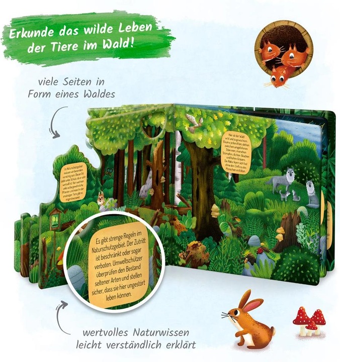Produktbild Fensterbuch Im Wald (Deutsch, Trötsch Verlag GmbH & Co. KG, 2024)