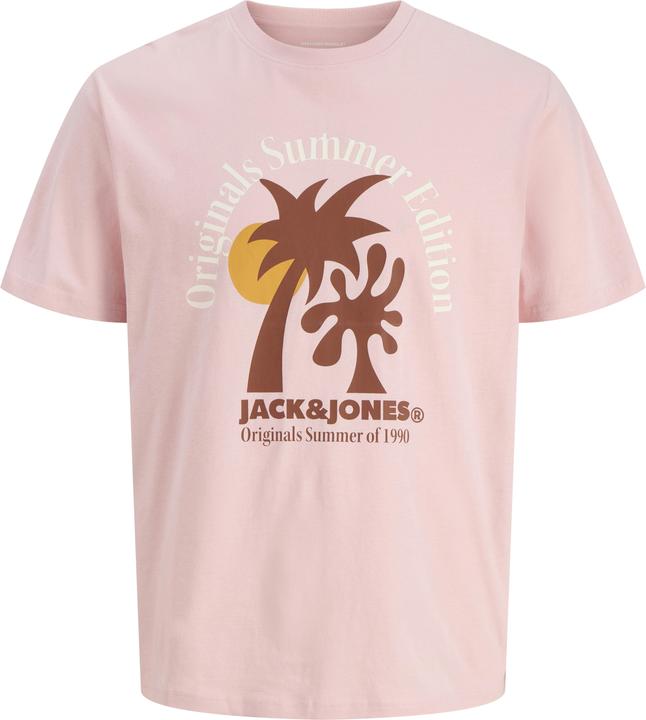 Image du produit Jack & Jones Jordown Tee Ss Crew Neck Stydss25 (XXL)