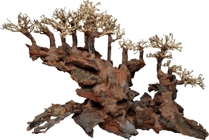 4fish Traerødder, Water bridge, 50x30x40 cm (Embellishment, other items)