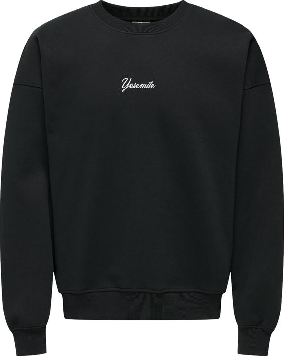 Image du produit Only & Sons Sweatshirt ONSCERES SKI Pullover (L)